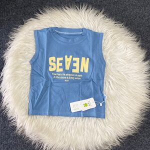 Blue Armless Top