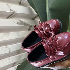 Wine colored shoe