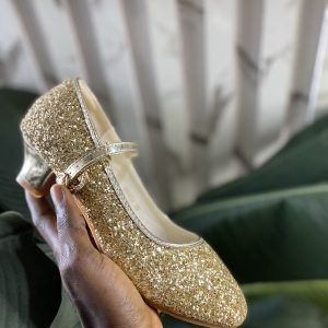 Old party shoe with pink box